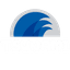 Logo de futbolin Tsunami